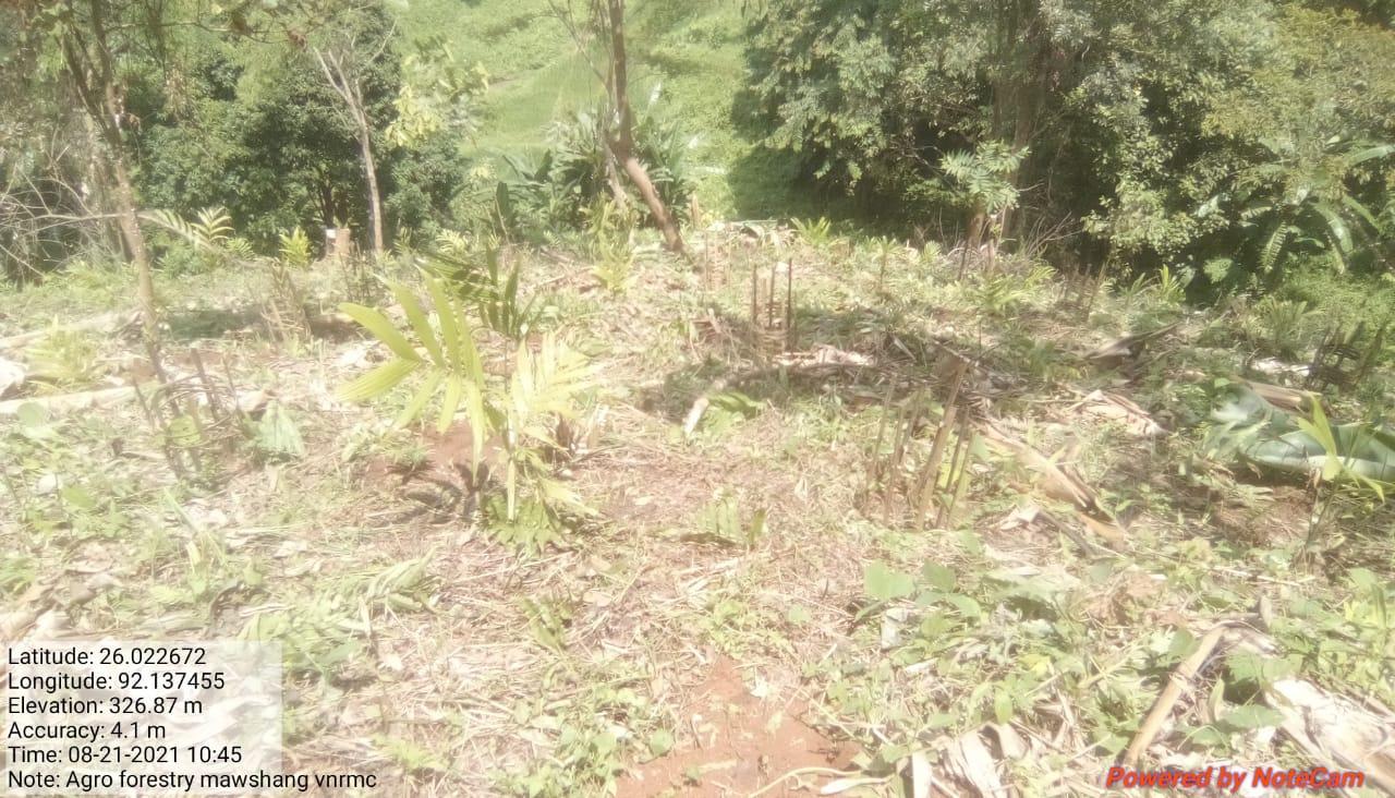 C:\Users\Lavinia Pde\AppData\Local\Microsoft\Windows\INetCache\Content.Word\IMG-20220418-WA0014.jpg